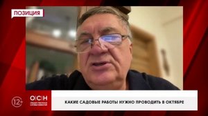 Какие работы необходимо проводить на огороде в преддверии заморозков