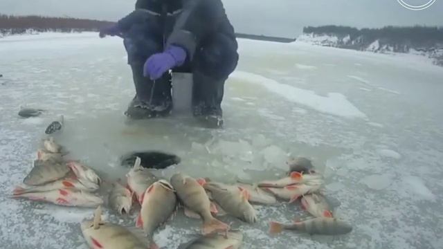 супер клёв