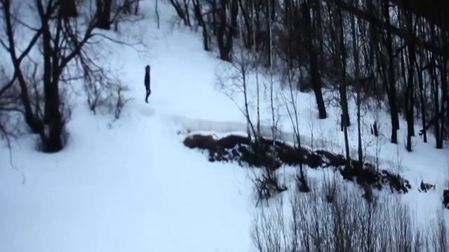 TarkovskyFest 2016 :: Программа видеоарта от ММОМА смотреть онлайн