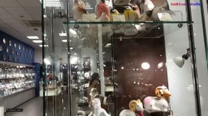 Магазин Императорского фарфора - Ломоносовский фарфоровый завод 4 часть__#0235mtk#