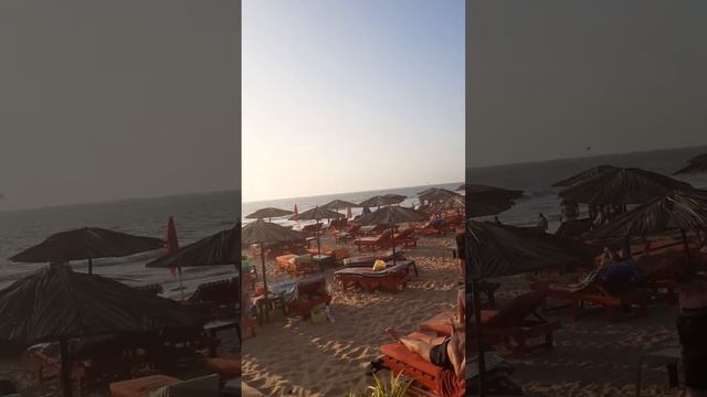 Гоа 13 января 2024 г. смотреть онлайн