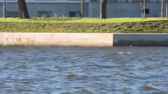 SCAT 430 S смотреть онлайн