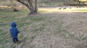 Молодые индейки и Даша... Сакраменто.