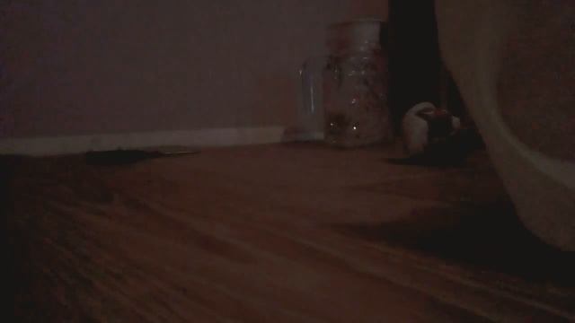 Делаем ванну для кукол лол смотреть онлайн