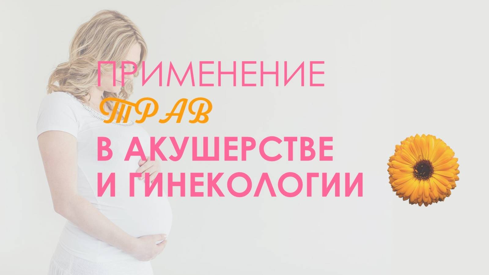 Применение трав в акушерстве и гинекологии #клиниказагера