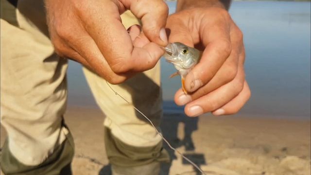 Погоня за окунем. смотреть онлайн