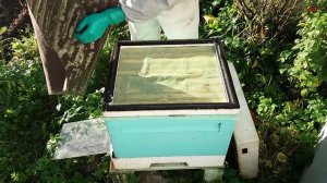 пчеловодство, подготовка к зиме, верхняя вентиляция, зимовка в ульях ППУ