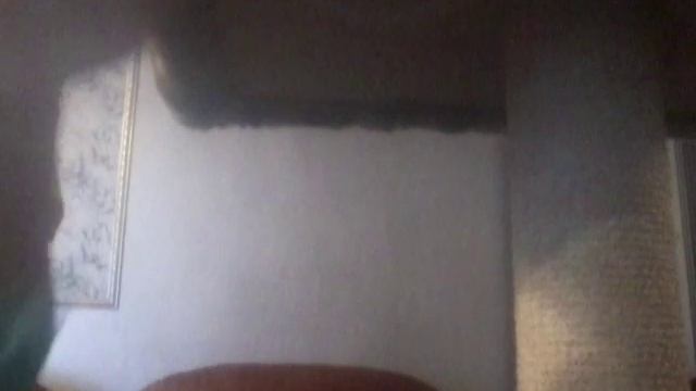 Кошка и её питание часть2 смотреть онлайн