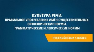 Урок 14. Культура речи. Правильное употребление имён существительных. Орфоэпические нормы.