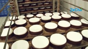 ФАБРИКА ПО ПРОИЗВОДСТВУ СЫРА И МОЛОЧНЫХ ПРОДУКТОВ | ПРОИЗВОДСТВО