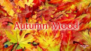 174. Autumn Mood (2024)