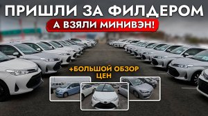 ВЫБИРАЕМ УНИВЕРСАЛ❗️ БОЛЬШОЙ ОБЗОР РЫНКА И ЦЕН ОКТЯБРЬ 2024❗️ FIELDER, LEVORG, VITZ, FORESTER, XV