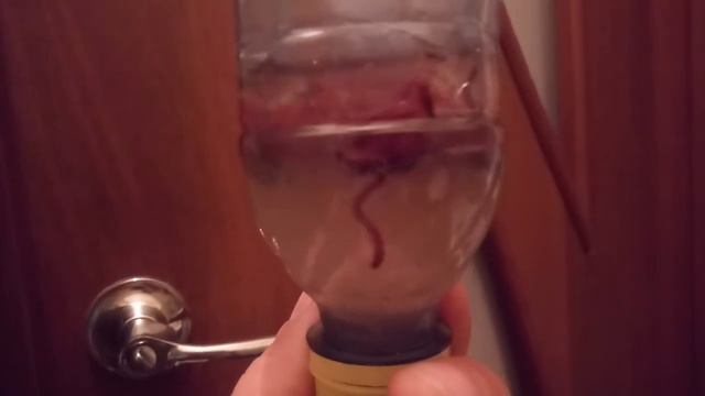 отсев матыля живого от мёртвого смотреть онлайн