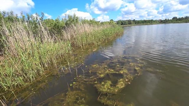 Рыбалка на паук подъёмник. Поймал и отпустил всю рыбу! Рыбалка на паук подъёмник.