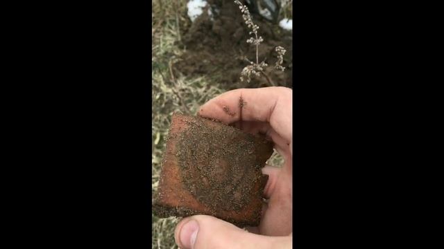 Шокирующие находки кладоискателей!!!! Серебряное кольцо и китайская монета!
