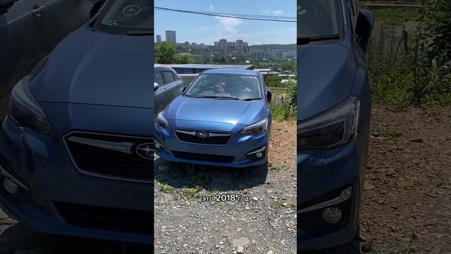 Subaru - Levorg, Impreza, XV А что выберешь ты ?) #shortsvideo #shortvideo #обзор #youtubeshorts