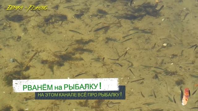 КРАСИВЫЕ МОМЕНТЫ на РЫБАЛКЕ ! смотреть онлайн