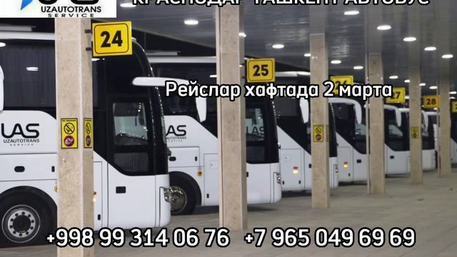 Краснодар Ташкент автобус #краснодар #ташкент #автобус