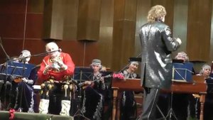 Елецкие переборы  Cоло на ложках Сергей Стюфляев
