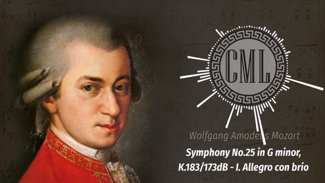 Mozart - Symphony No.25 in G minor K.183/173dB [First Movement] смотреть онлайн