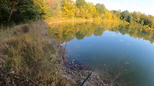 Shimano Metanium 2020 | Im In Love!