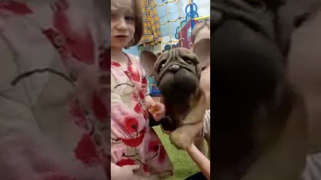 как управлять мимической куклой смотреть онлайн