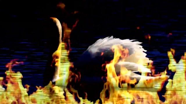 Roasting Swan Solo смотреть онлайн