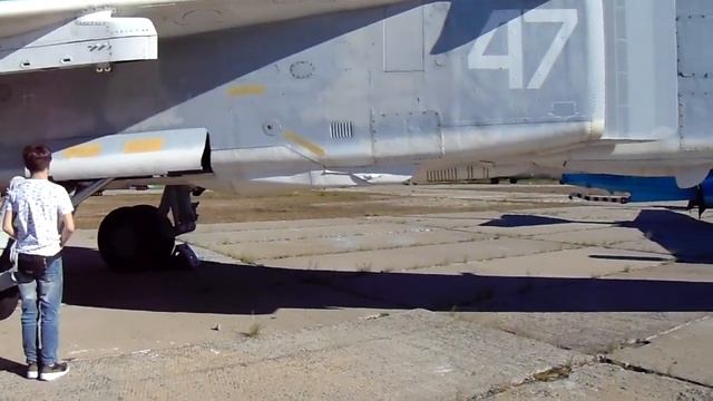 MAH00193 смотреть онлайн