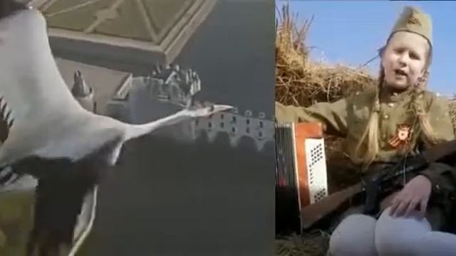 Астраханская область, Наримановский район, МКОУ СОШ п Трусово, Журавлева Виктория , 6 класс Б смотреть онлайн