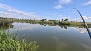 ЖЕСТЬ!!! ДОБАВИЛ В СЕКРЕТНУЮ ПРИКОРМКУ ВАНИЛЬНЫЙ САХАР И ДЕЛО ПОШЛО| ТОЛСТЫЕ КАРПЫ КЛЮЮТ НА КРЮЧОК.