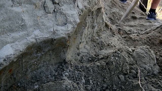 Раскопки мозазавров 8 смотреть онлайн