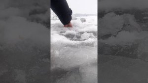 зимняя рибалка на вымя,Ловля Платвы