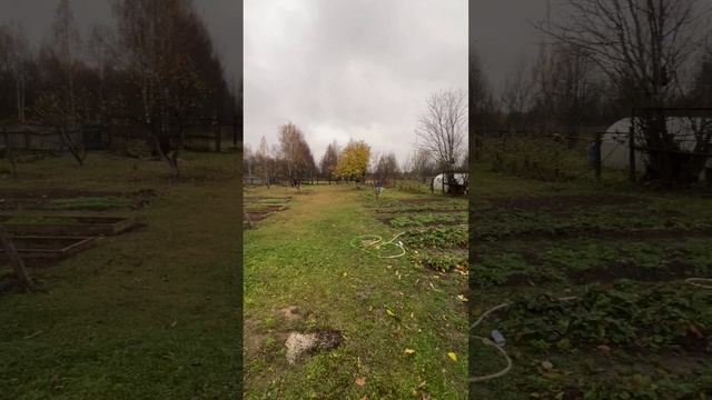 Жилой дом с баней и гаражом на участке 30 соток в деревне Петраково, Александровский район