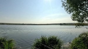За карасями 29.08.24