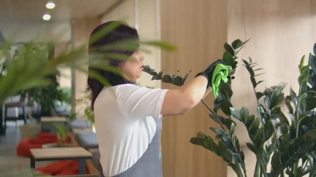 Клининг офисных помещений и бизнес-центров от компании _Солиадо_