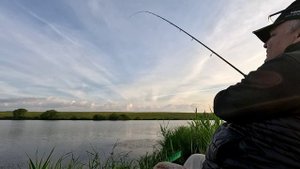 Кавторовка 15.06.24 г..movie