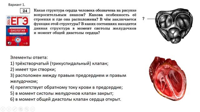 Трёхстворчатый клапан смотреть онлайн