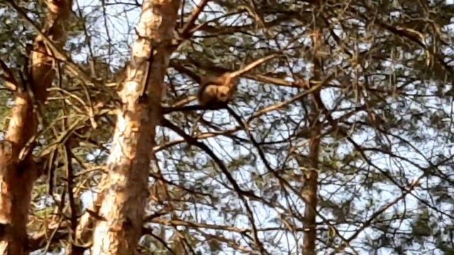 Социально отстраняемся и развиваемся смотреть онлайн