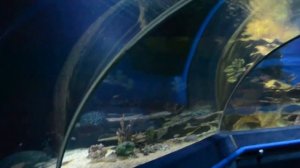 Океанариум Питера