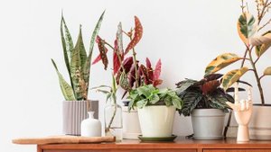 12 Вещей не должны быть в маленькой комнате