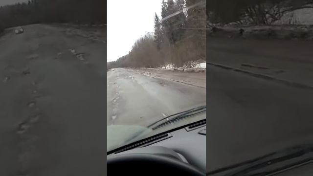 Округ Шахунья. Граница с Кировской областью