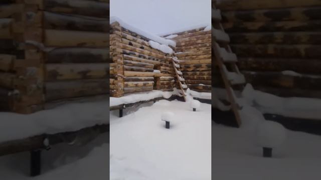 Метель в Подмосковье 27.01.19 и наш будущий дом смотреть онлайн