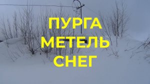 Февраль Разбушевался Пурга Метель Снег