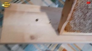 упаковка для сотового меда от  пасеки Коробициных