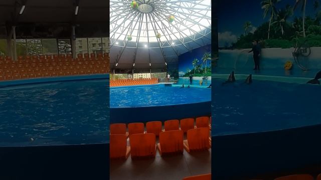 10 июня 2023 г. смотреть онлайн