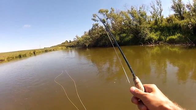 Немда 04 08 2012