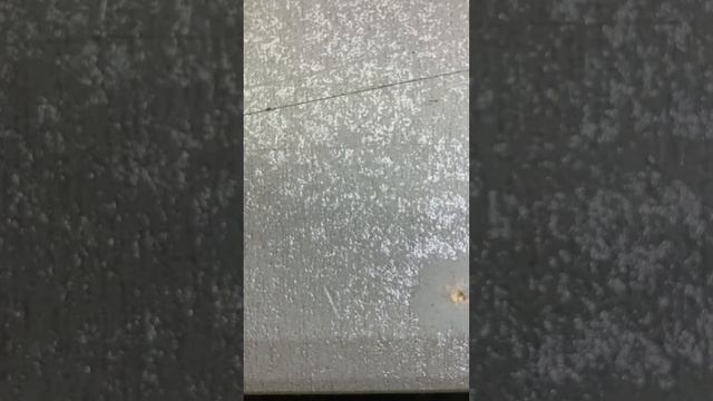 18 января 2024 г.