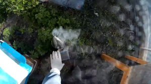майский осмотр семей