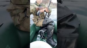 ловля терпуга 2022год в приморье.