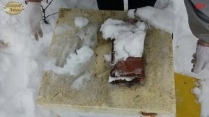 пчеловодство. зимовка, первые итоги. смешанная вентиляция